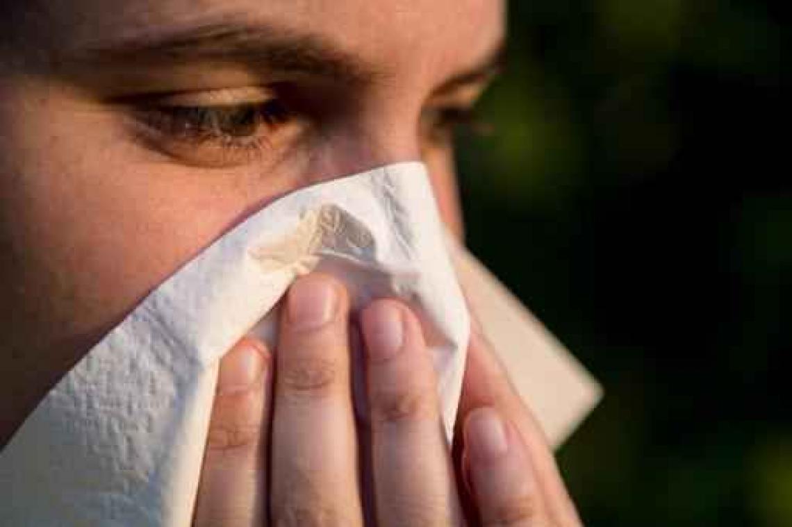 Zacht lenteweer zorgt voor eerste piek in berkenpollen
