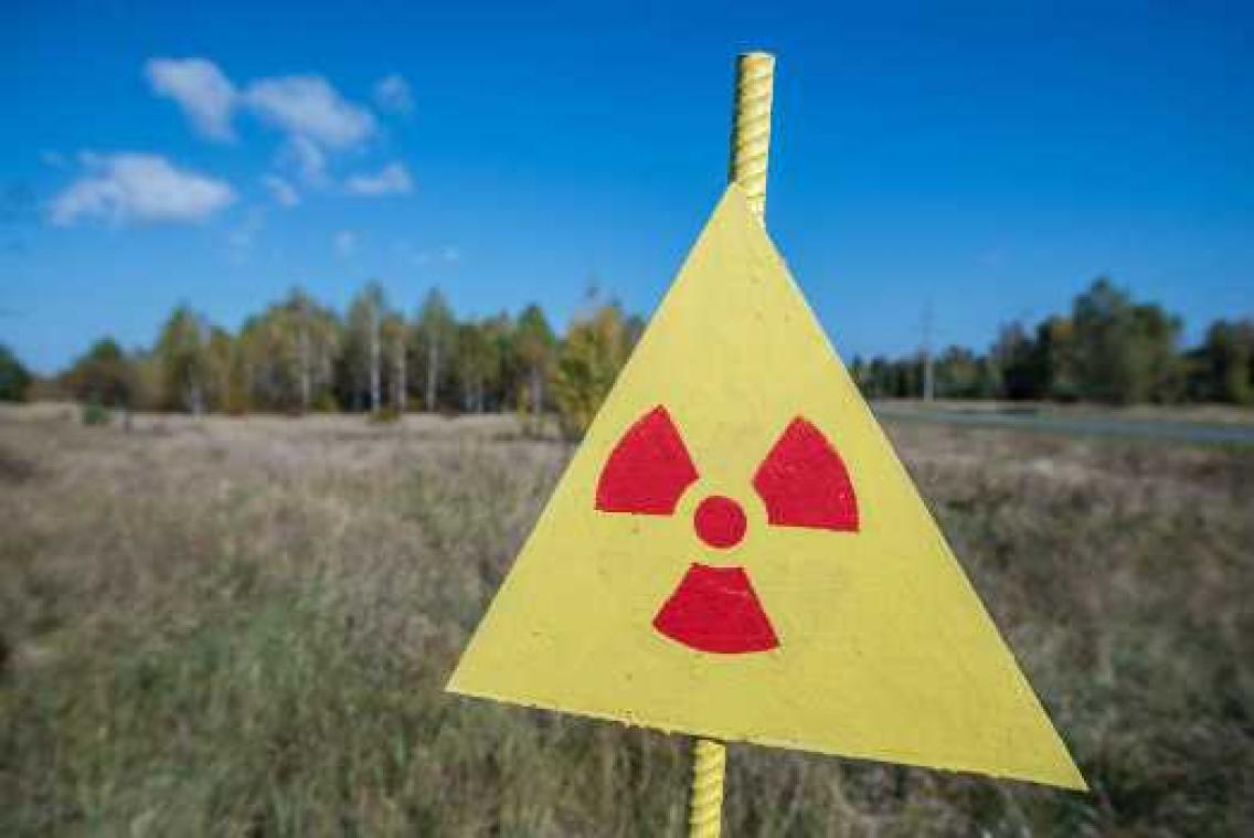 Wilde dieren in Tsjernobyl helpen bij risico-inschatting