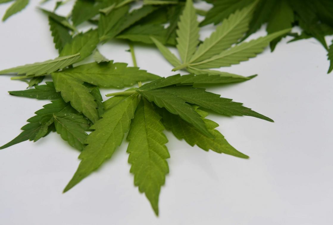 Langetermijngebruik van cannabis leidt tot valse herinneringen