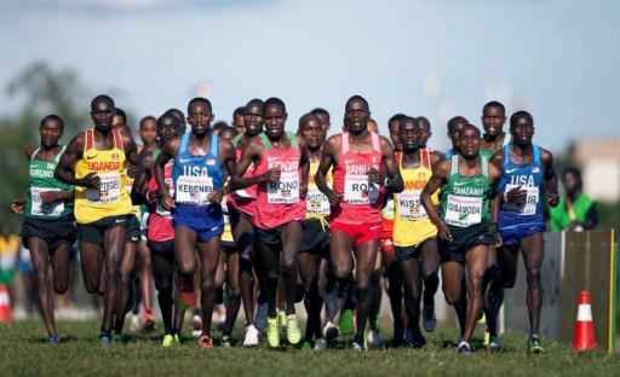 Keniaanse Jepkosgei stelt vier wereldrecords scherper tijdens halve marathon Praag
