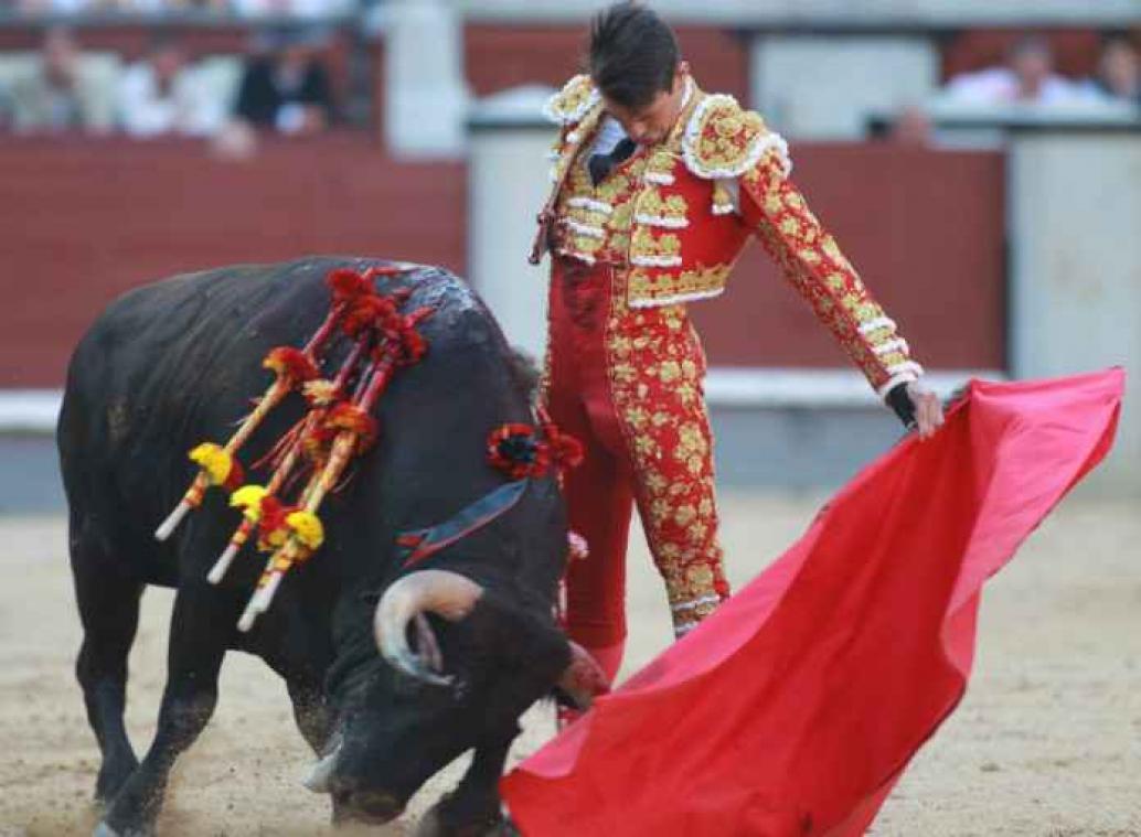 Matador wordt gruwelijk gespiest bij debuut