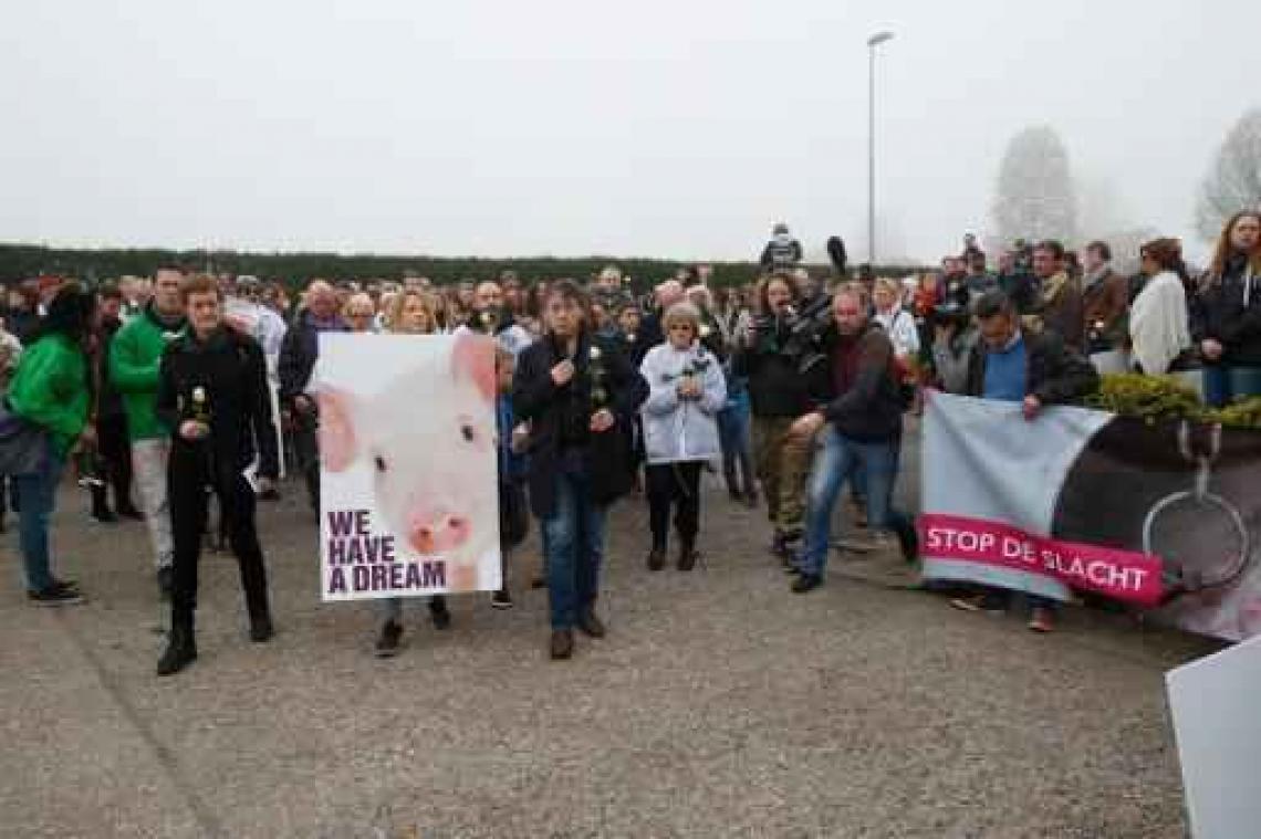 Animal Rights en GAIA willen inzage in actieplan Slachthuis Tielt