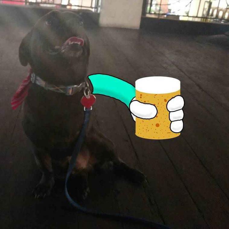 Hond met drie pootjes krijgt hilarische photoshopbehandeling