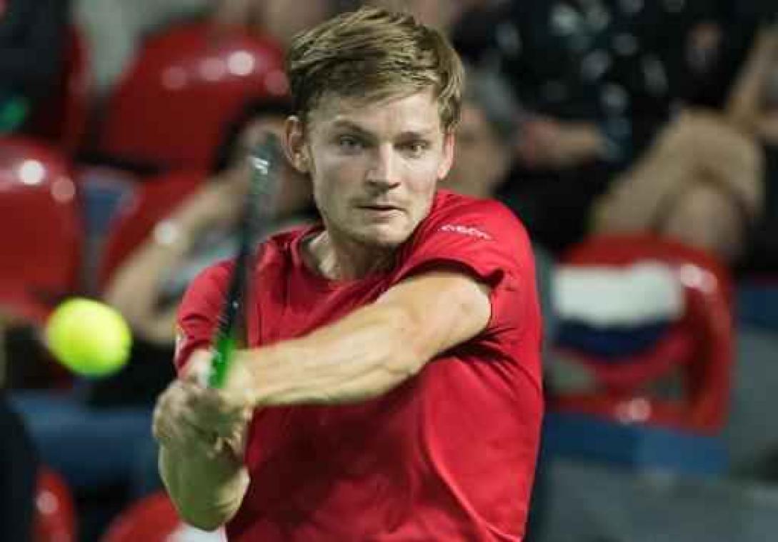 Davis Cup - David Goffin: "We bevinden ons in ideale positie"