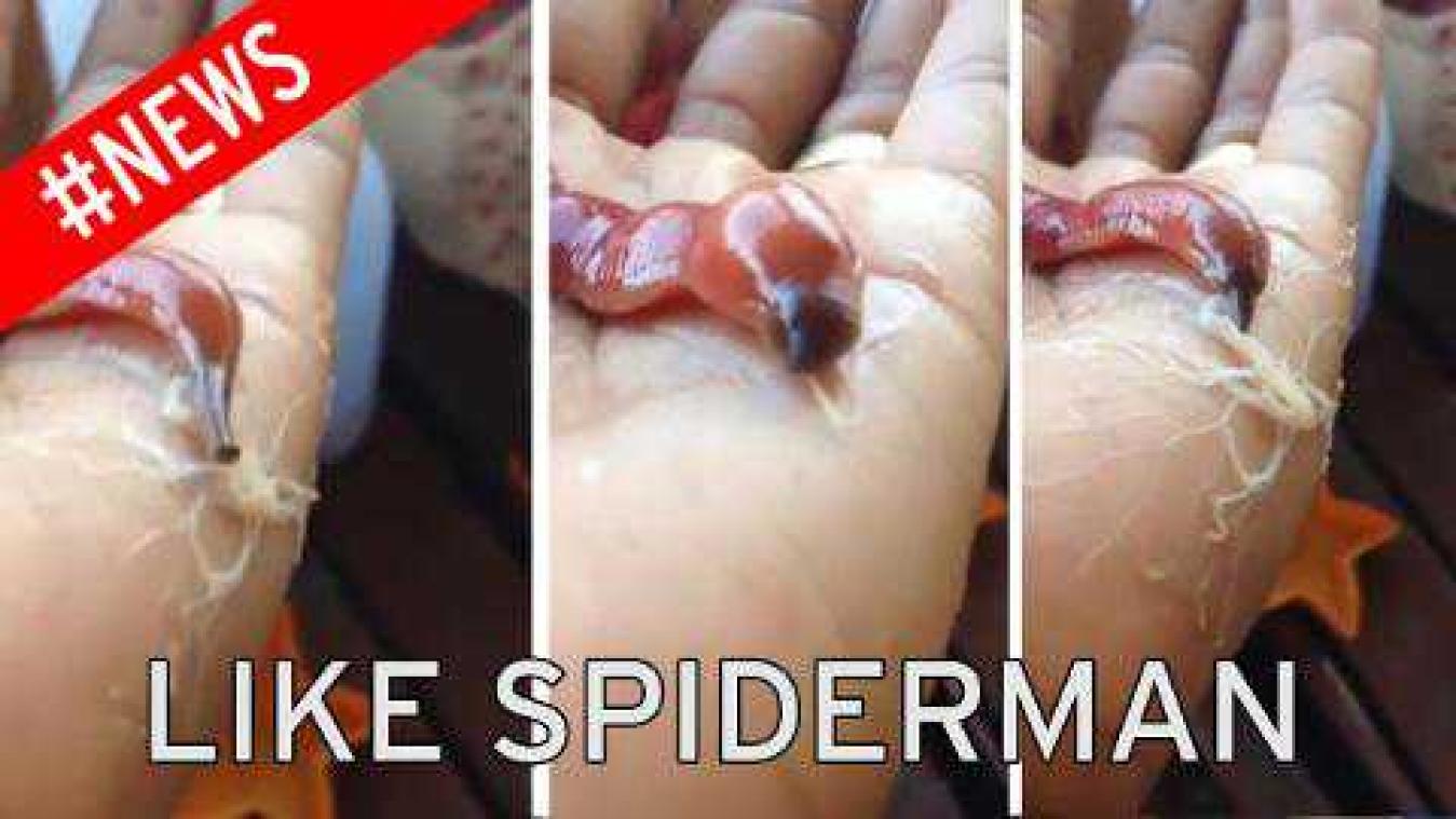 Spiderman zou jaloers zijn op deze worm