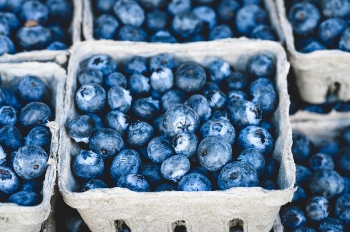 Volgens wetenschappers is dit het gezondste fruit