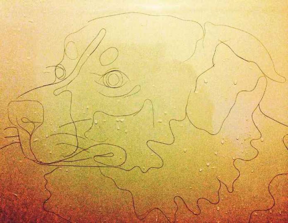IN BEELD. Deze vrouw maakt kunstwerken van haren uit de douche