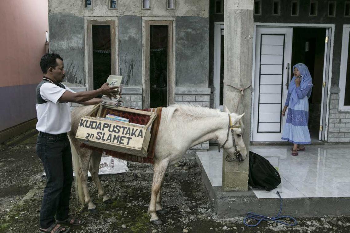 Hoe een man en zijn paard verantwoordelijk zijn voor dalend aantal analfabeten