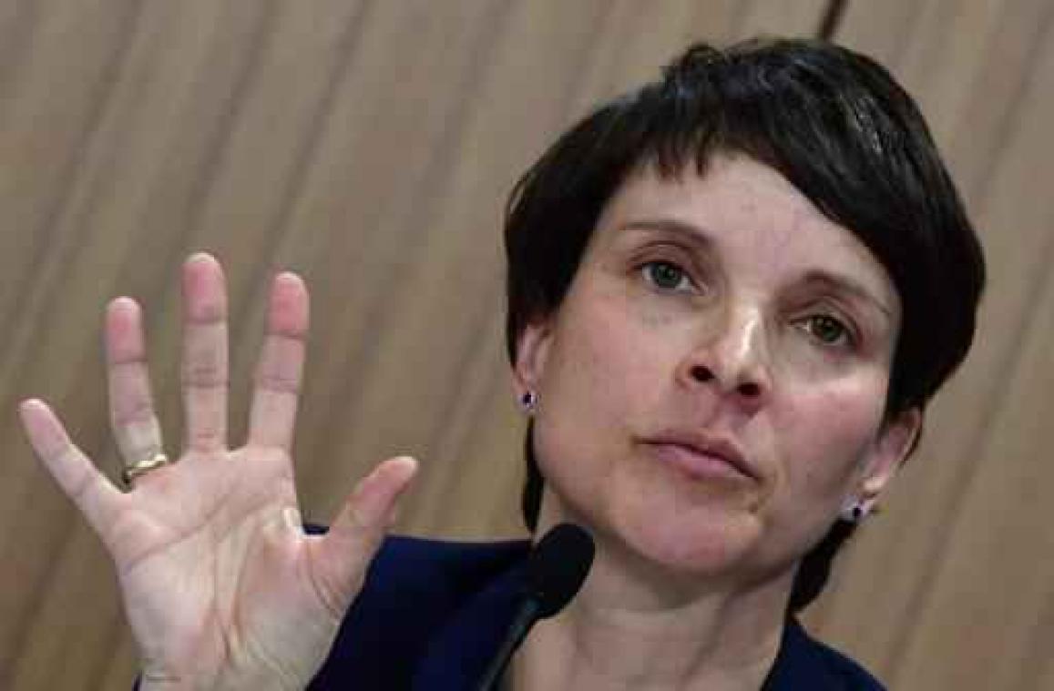Frauke Petry geen lijsttrekker voor AfD bij Duitse parlementsverkiezingen