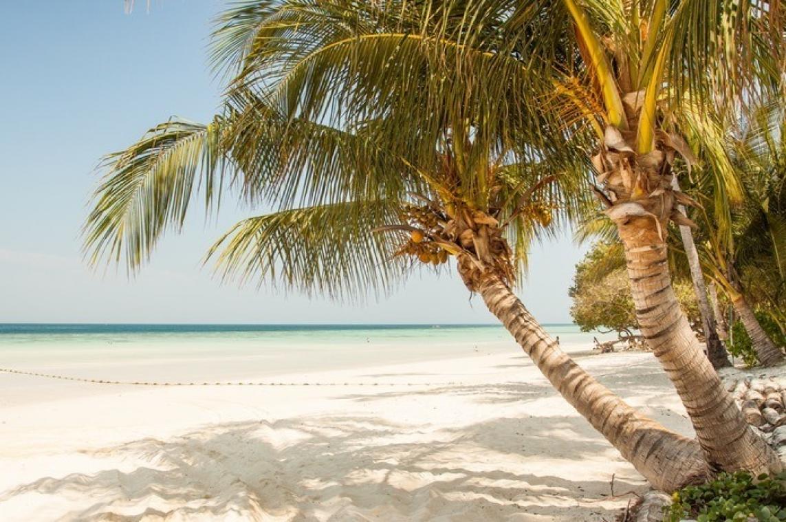 IN BEELD. Dit zijn volgens Belgen de beste stranden
