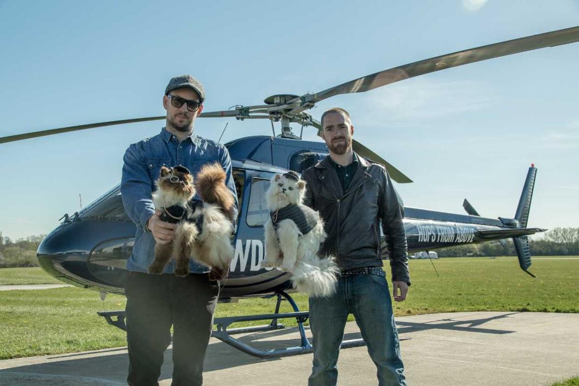 BrewDog gooit met katten