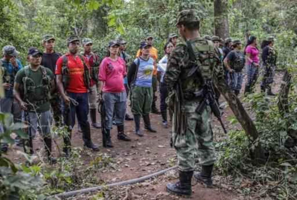 Vijf buitenlanders vastgehouden door vermoedelijke Farc-dissidenten
