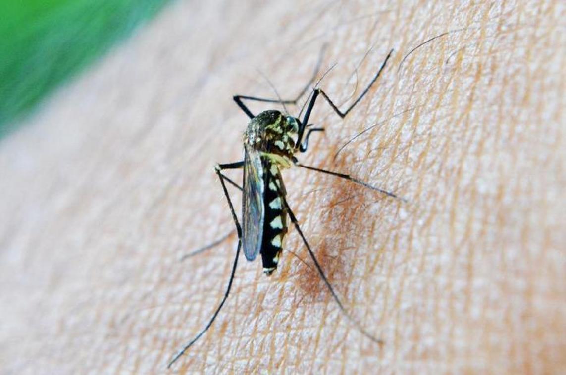 Vaccin tegen malaria voor het eerst toegediend