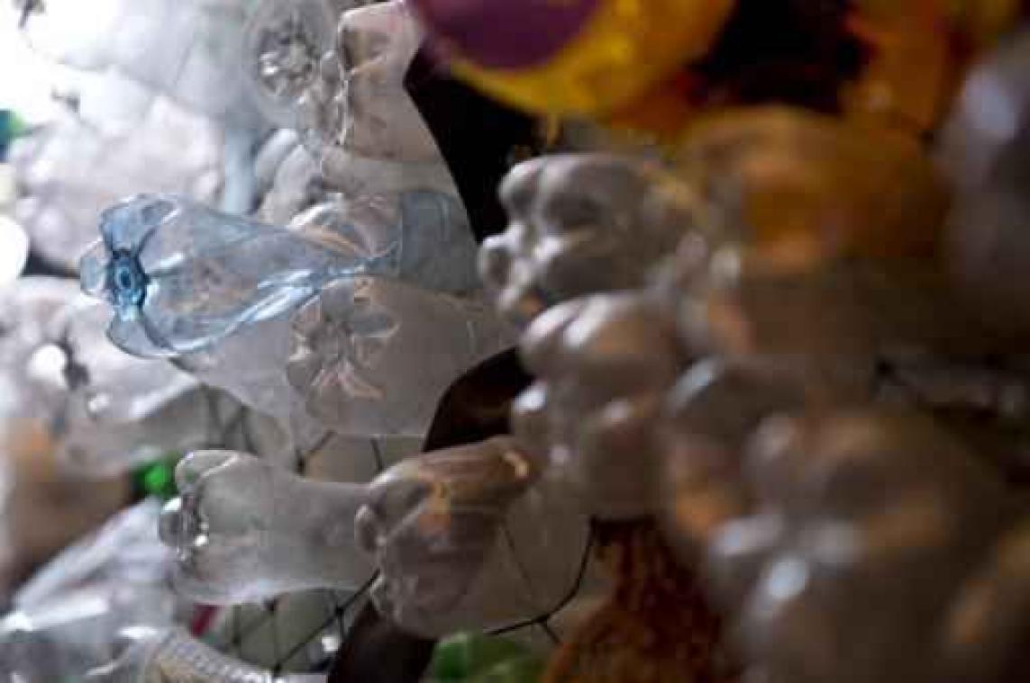 Veelbelovende vondst van larve die plastic vreet