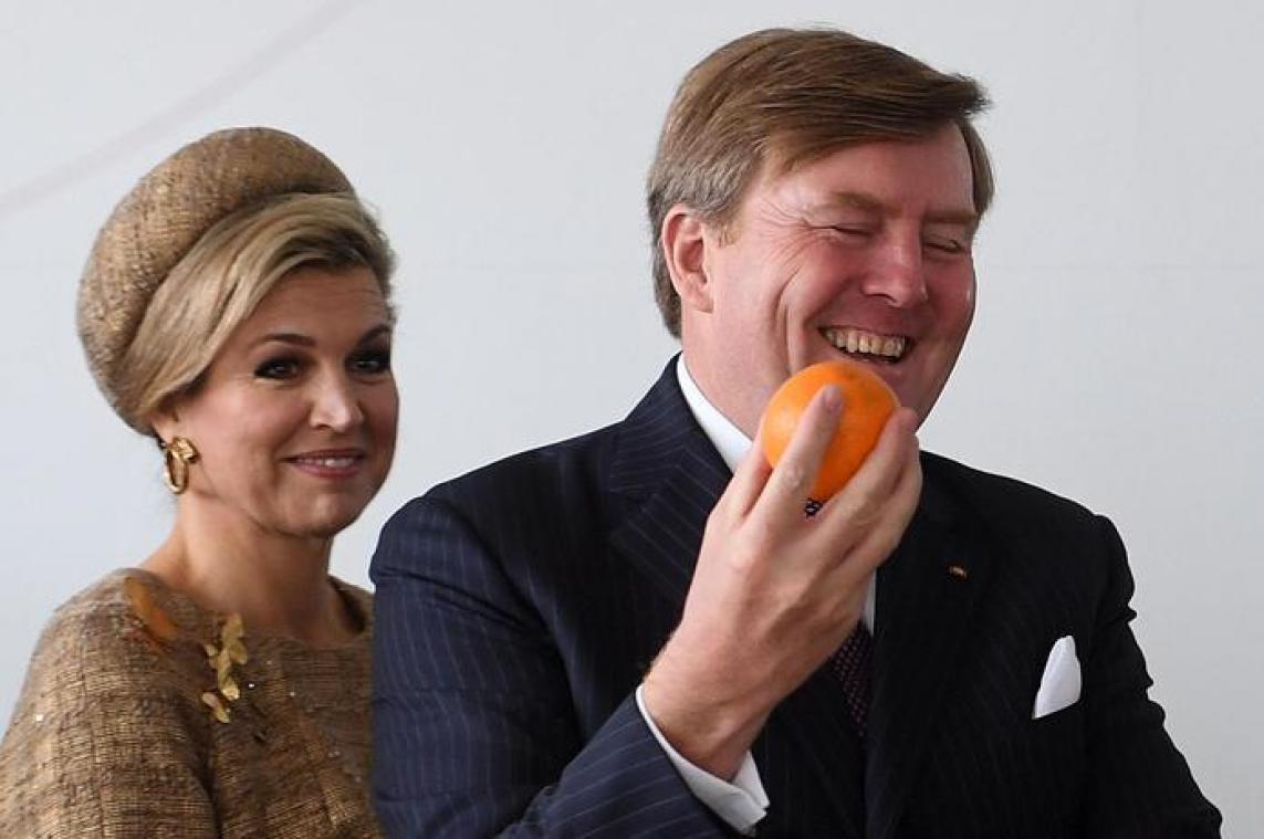 Koning Willem-Alexander krijgt goed rapport