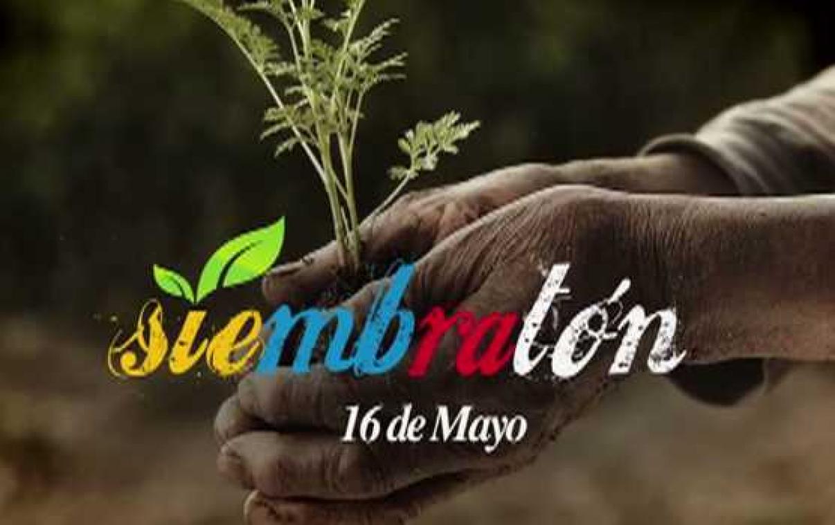 Ecuador breekt wereldrecord herbebossing