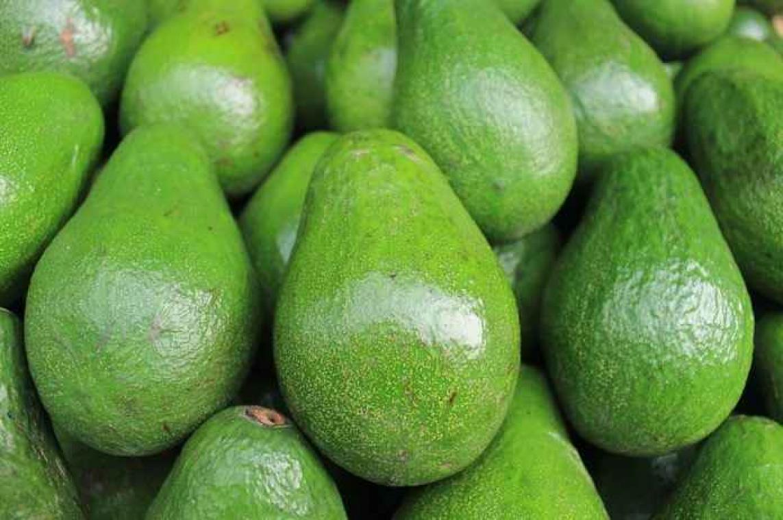 Avocado's dreigen flink duurder te worden