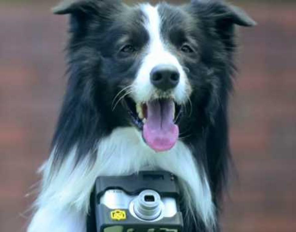 Nikon maakt hondencamera
