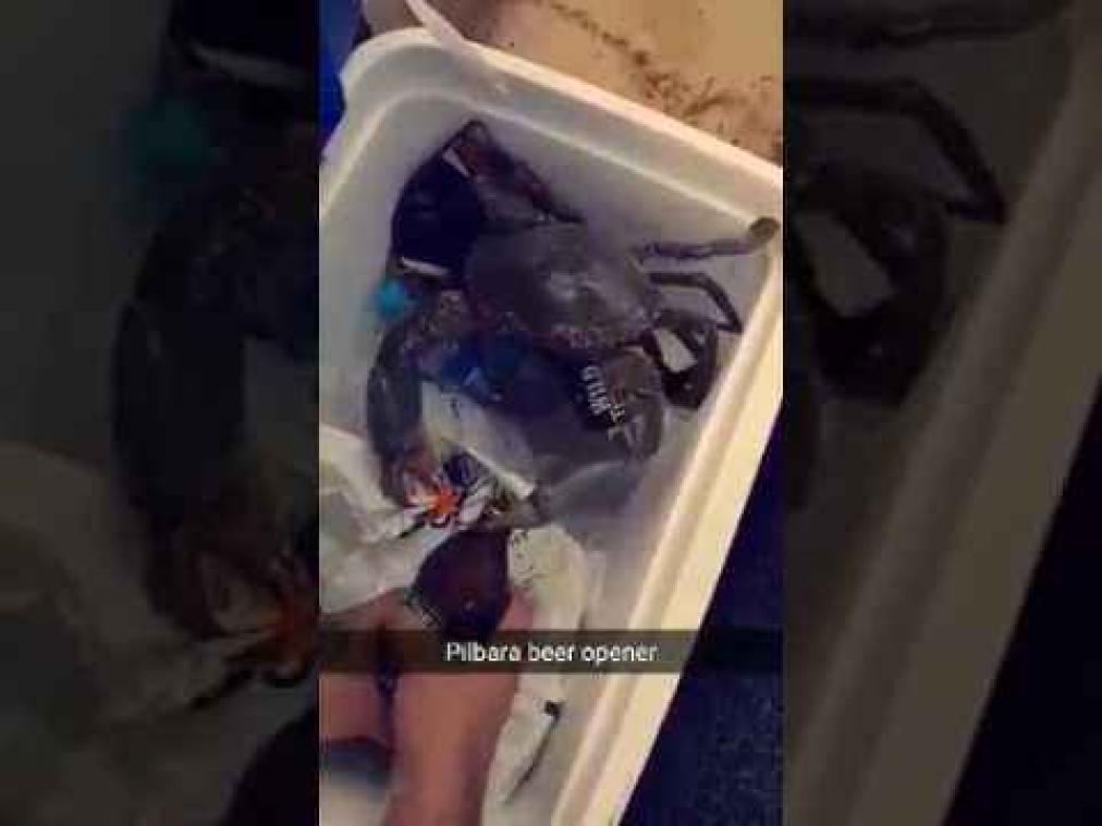 Man opent bierflesje met levende krab
