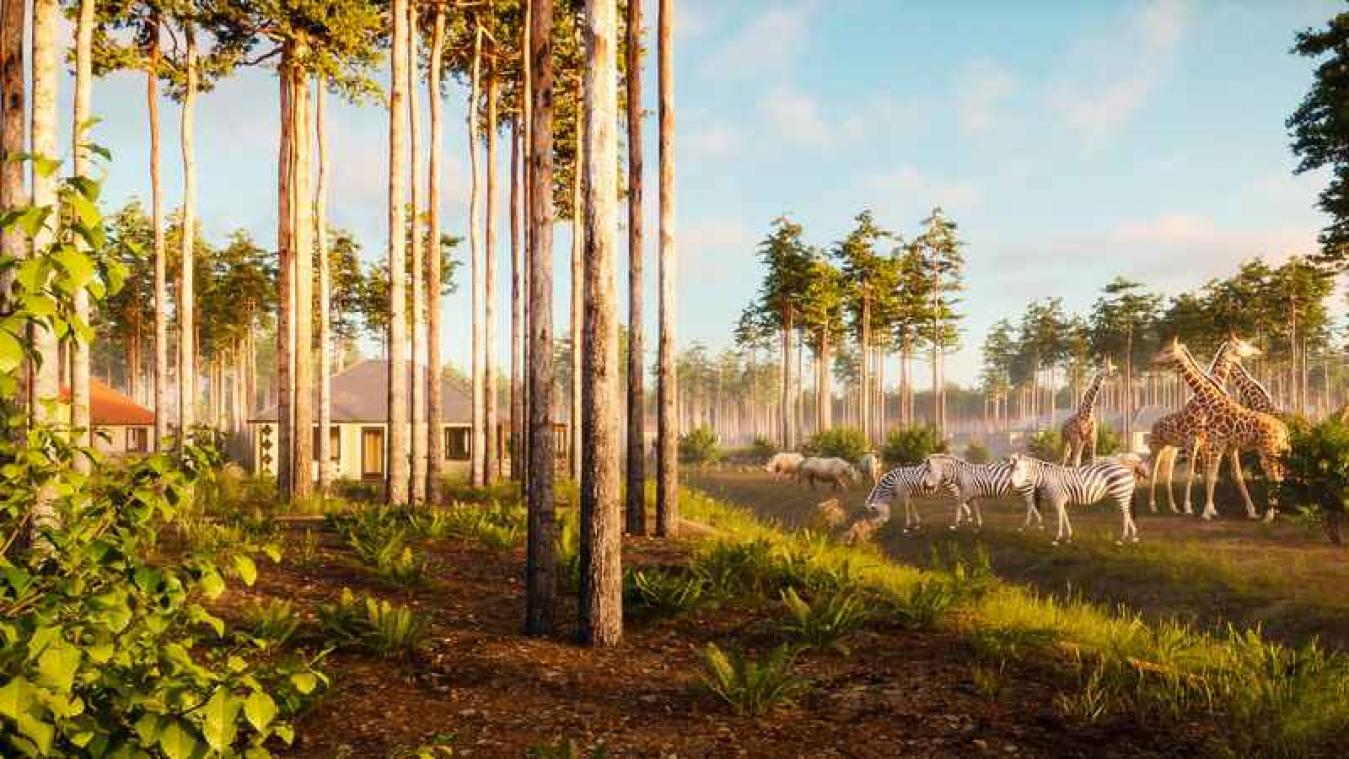 De nacht doorbrengen tussen dieren, dat kan je in 2018 bij de Beekse Bergen