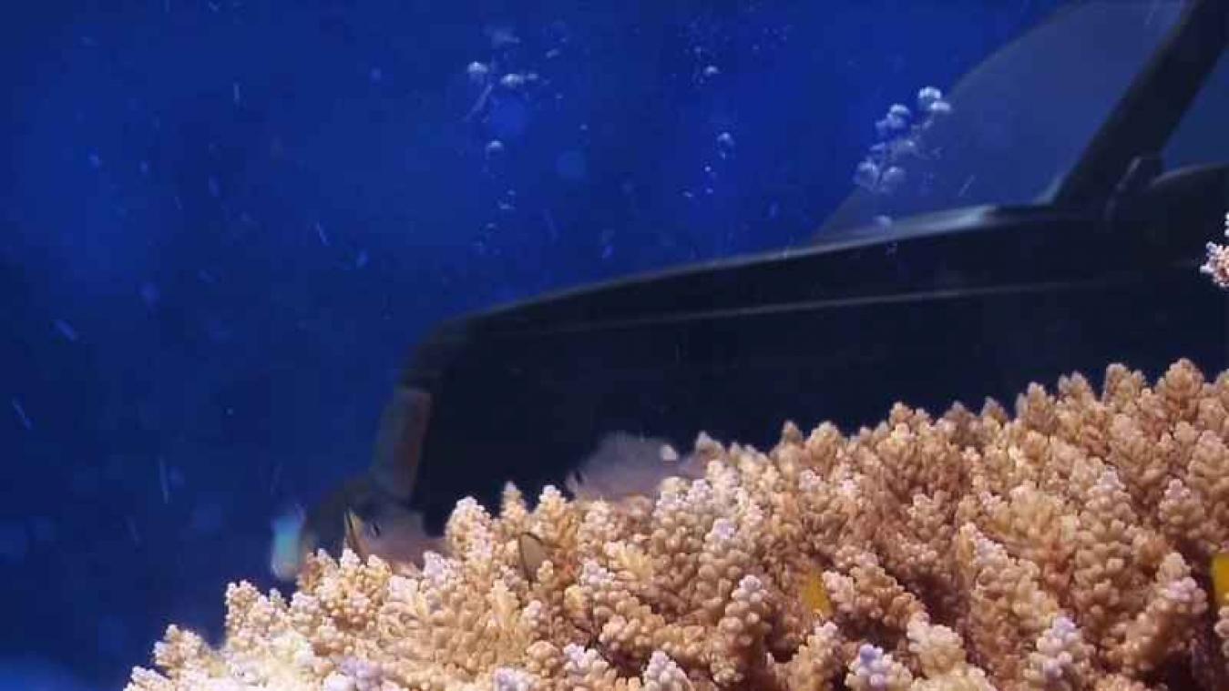 Man maakt spectaculair filmpje om oude Suzuki te verkopen