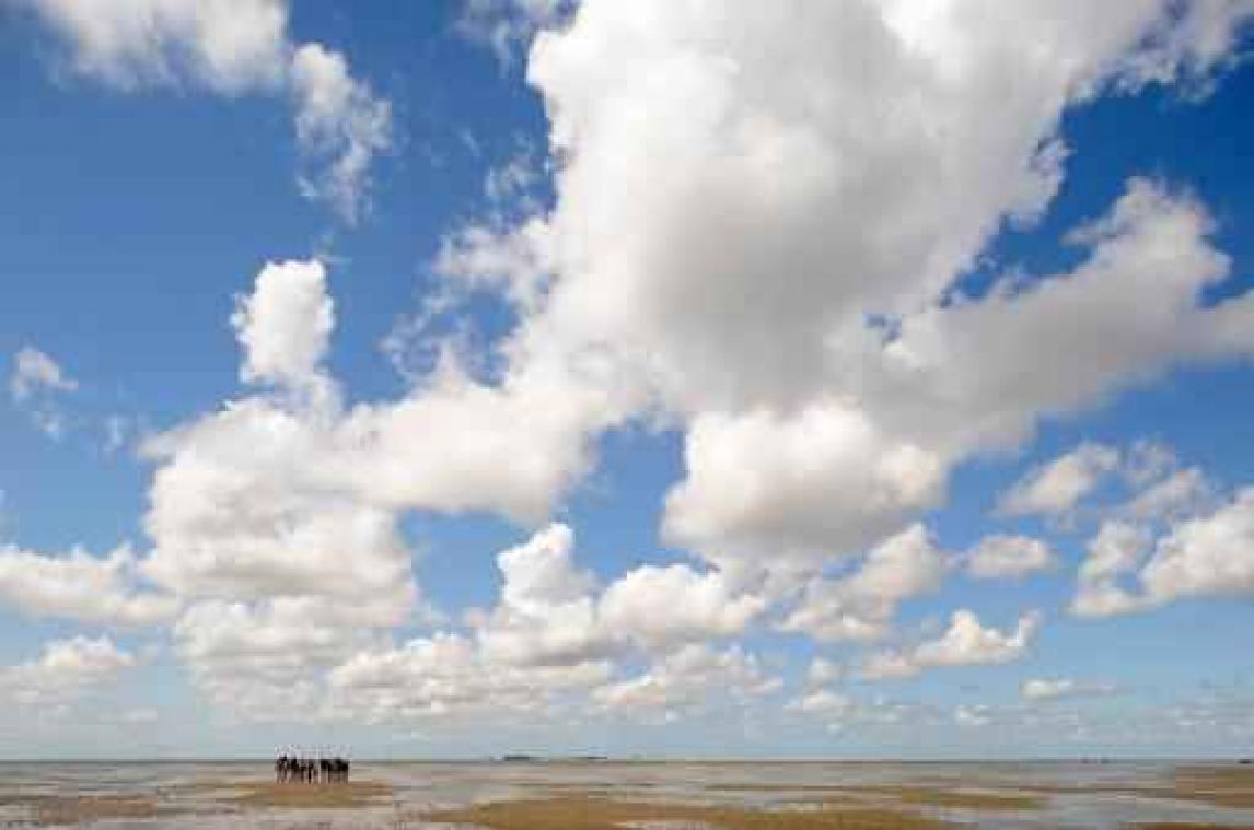 Waddenvereniging waarschuwt voor "verdrinking" Waddengebied