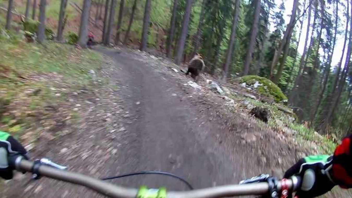 Beer achtervolgt fietser, vriend filmt het hele gebeuren