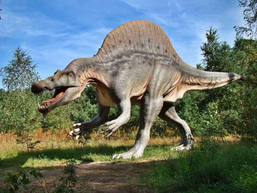 Dinosaurussen hadden nu nog geleefd als meteoriet 30 seconden later was ingeslagen
