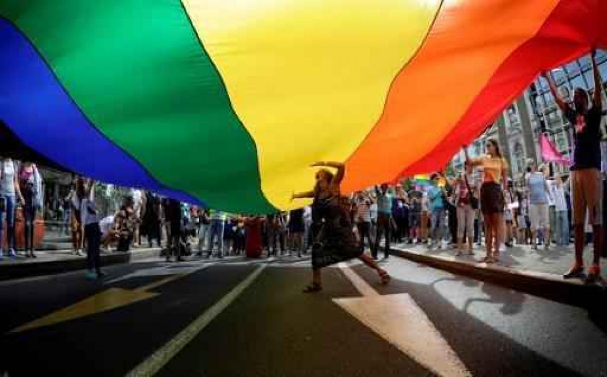 Antwerpen hangt dinsdag regenboogvlag uit aan het Steen