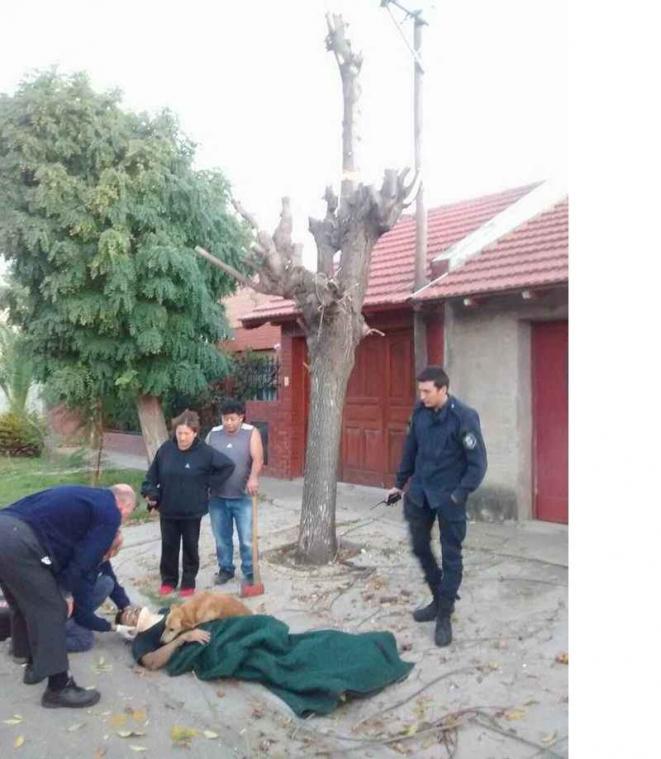 Trouwe hond blijft naast eigenaar liggen nadat die lelijke val maakt