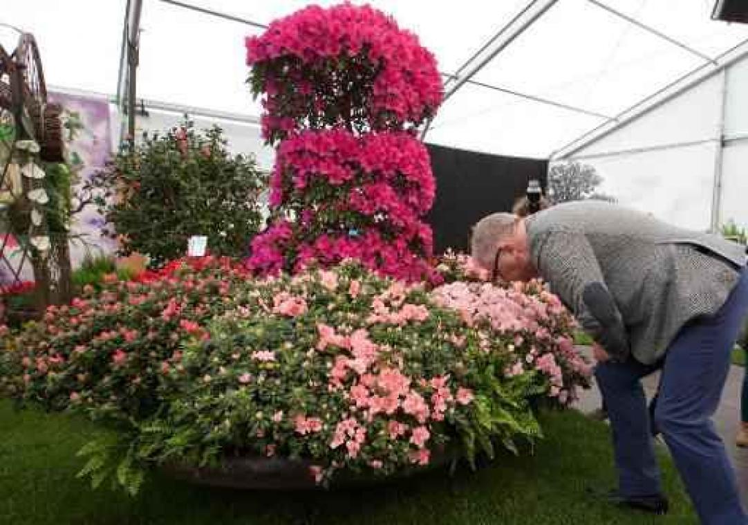 Gentse Floraliën: kleinschalige projecten en in 2020 nieuwe editie