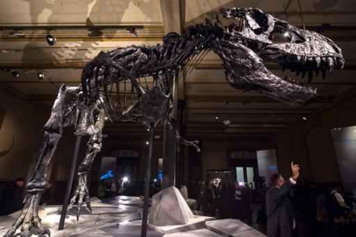 Dino World in Brussels Expo mikt op 100.000 bezoekers