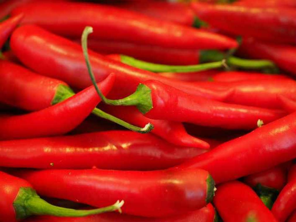 Fruitboer uit Wales creëert per ongeluk heetste chilipeper ter wereld