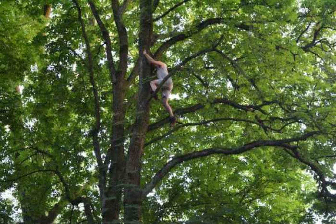 Man klimt in boom maar durft niet meer naar beneden