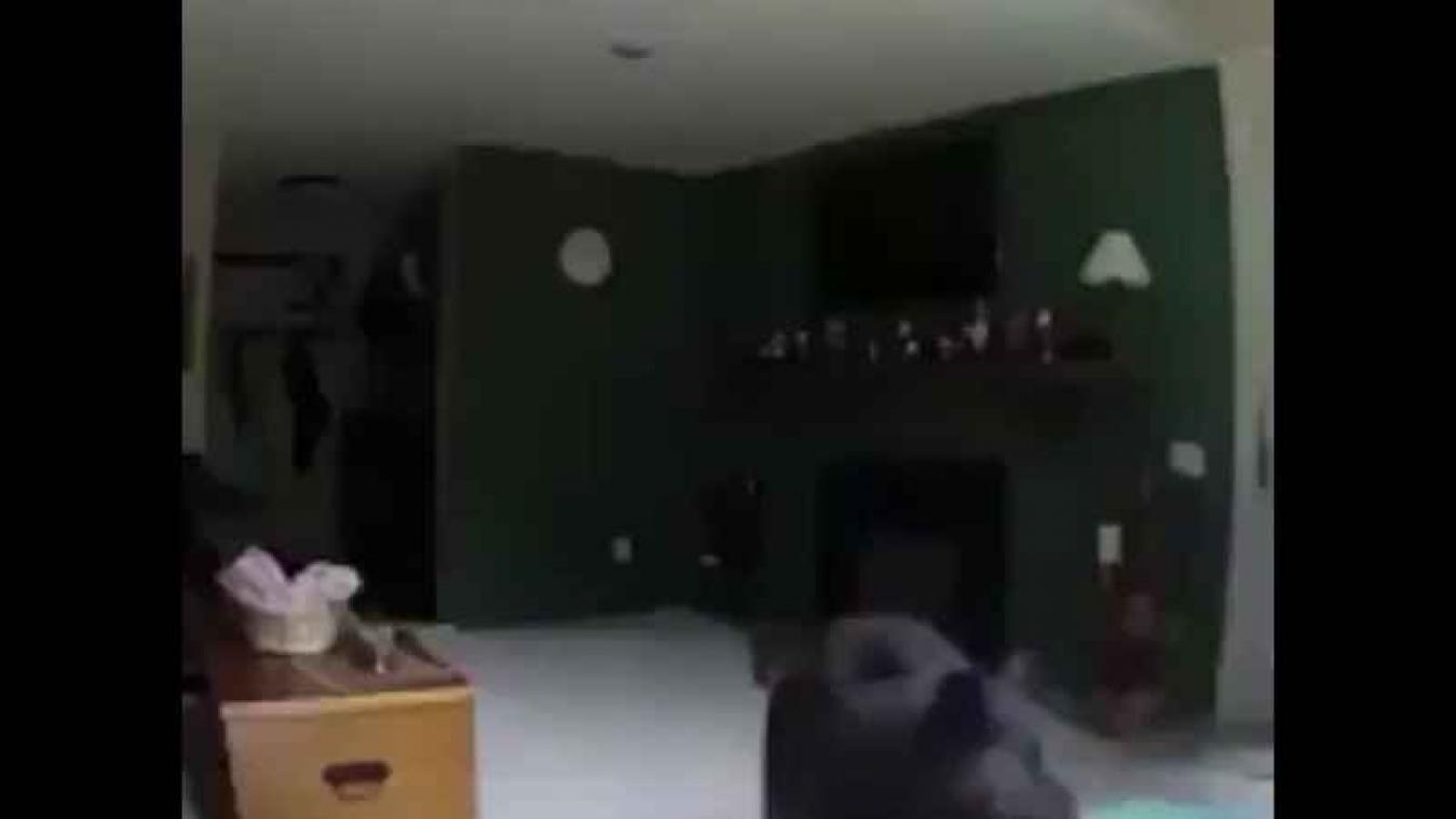 VIDEO. Beer breekt in en speelt piano