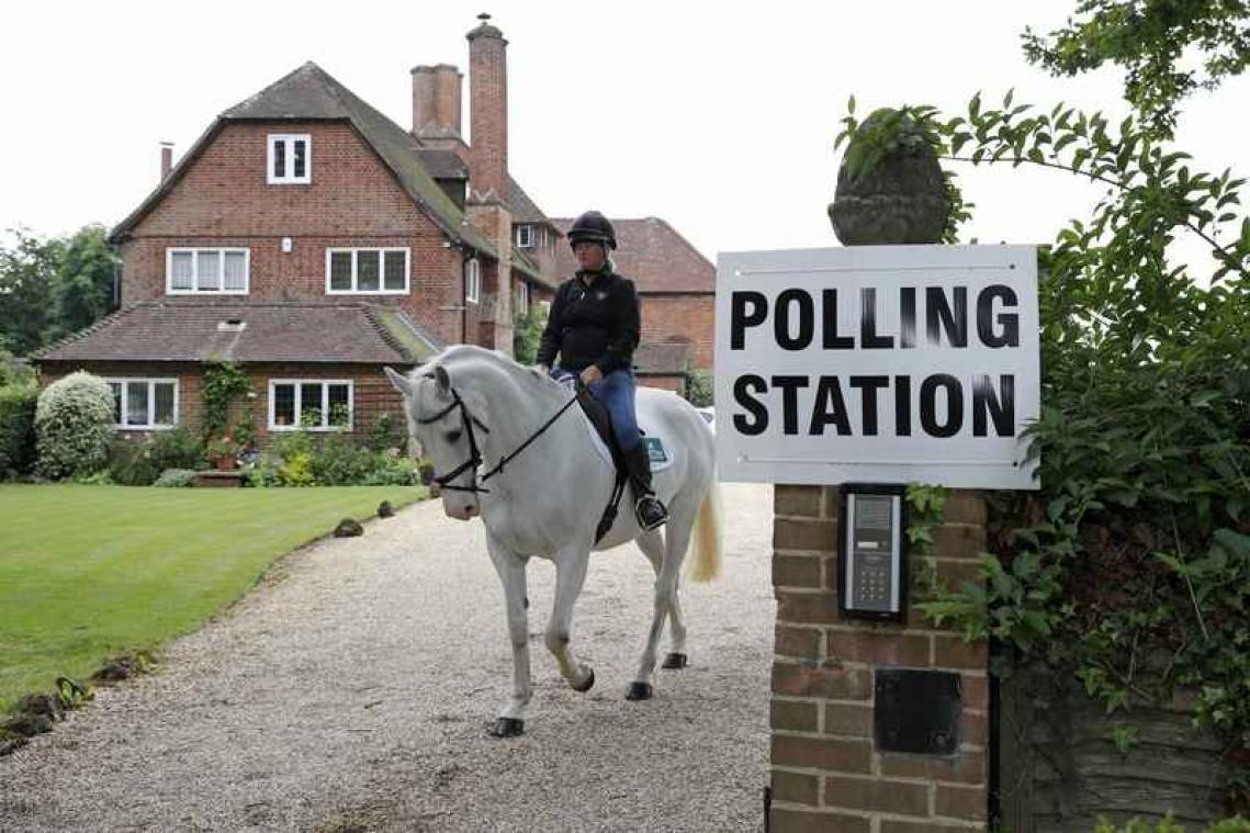 Britse honden gaan ook stemmen