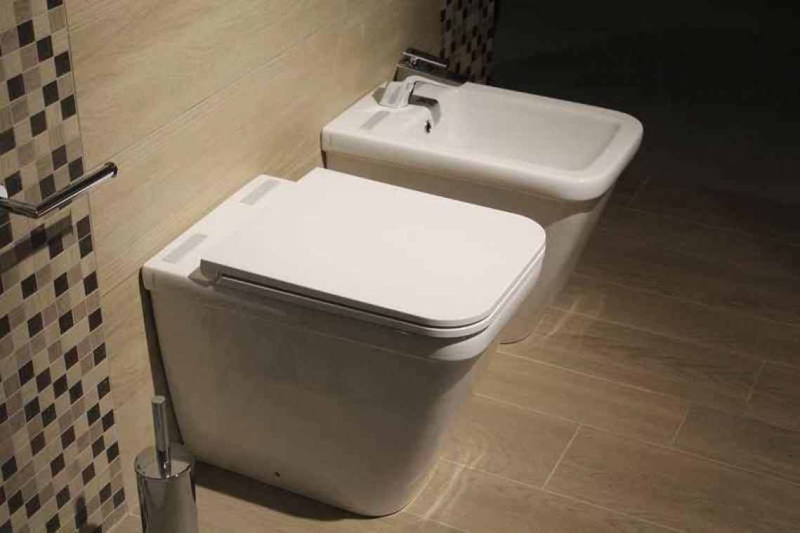 Moeder leert zonen op briljante manier toiletmanieren bij