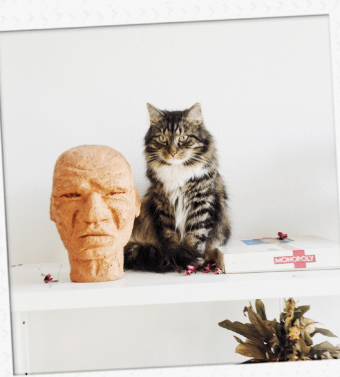 Gents koppel gaat heel ver om kat terug te vinden