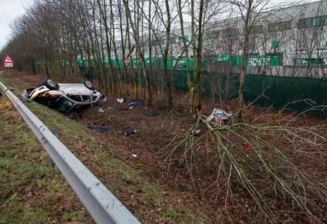 Groeiend protest tegen "enkel nog dunne bomen langs de weg"