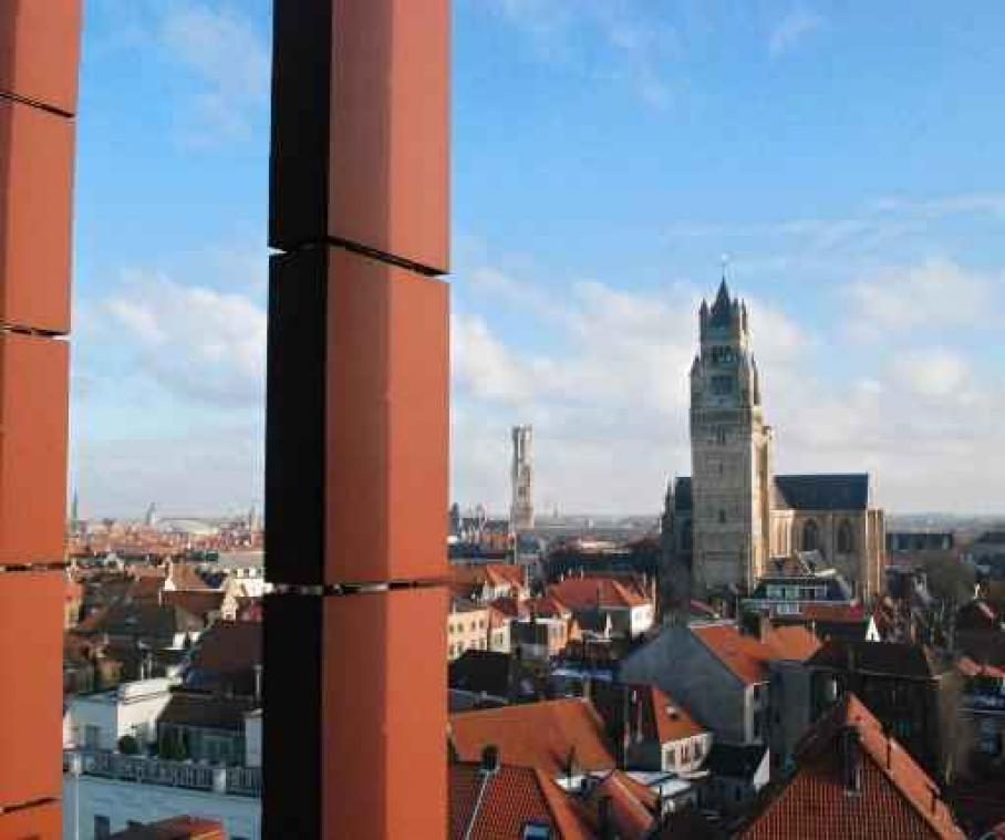 Drone neemt 3D-scan van Brugs Belfort