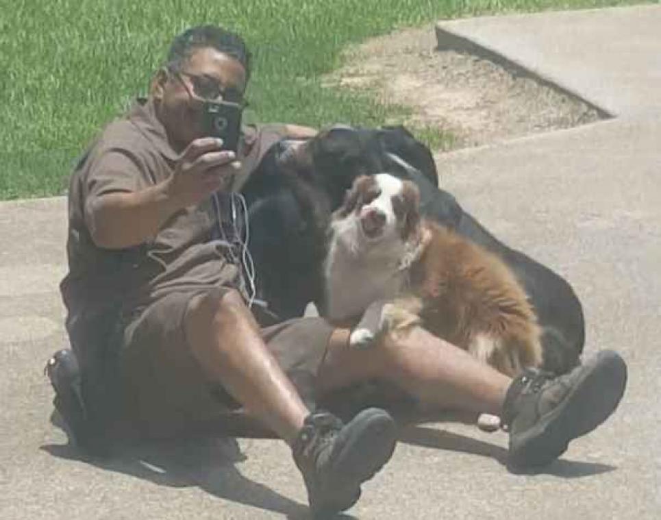 Pakjesbezorger gaat ook langs bij honden