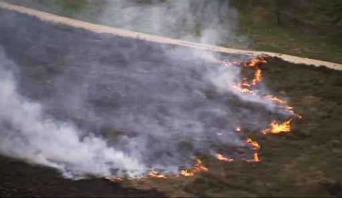Brandfase oranje van kracht in Antwerpse natuur- en bosgebieden