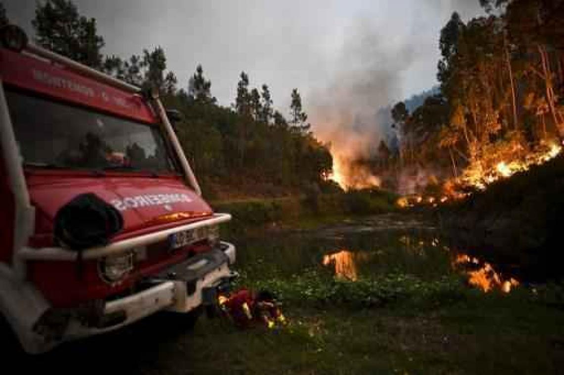 Update bosbrand Portugal: dodentol stijgt naar 43