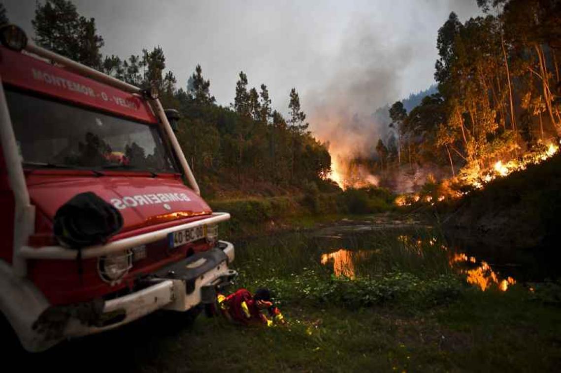 Dodentol bosbrand Portugal opgelopen tot 62