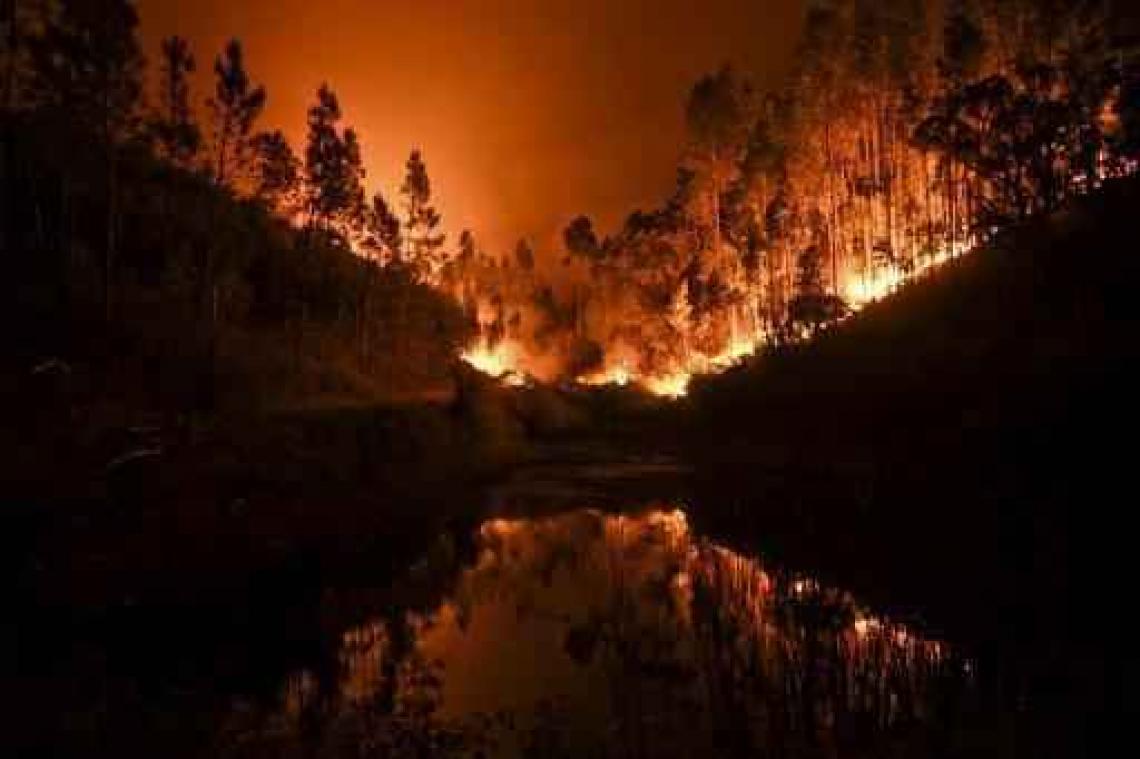 Bosbrand Portugal vermoedelijk veroorzaakt door blikseminslag