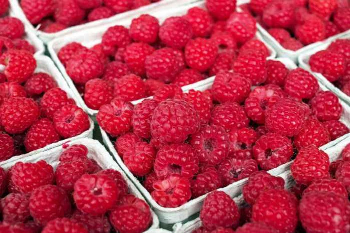 Frambozen gaan verouderingseffecten tegen