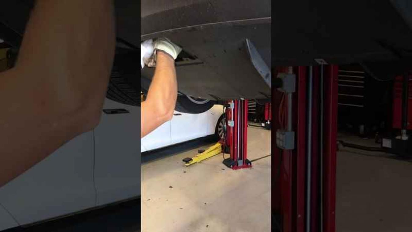 VIDEO. Man ontdekt kat in bumper van zijn Tesla