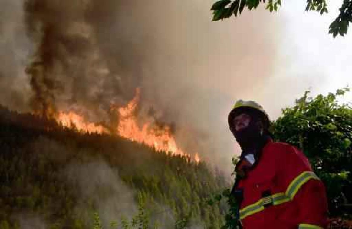 Bosbrand Portugal - Al 64 doden geteld in bosbrand Portugal