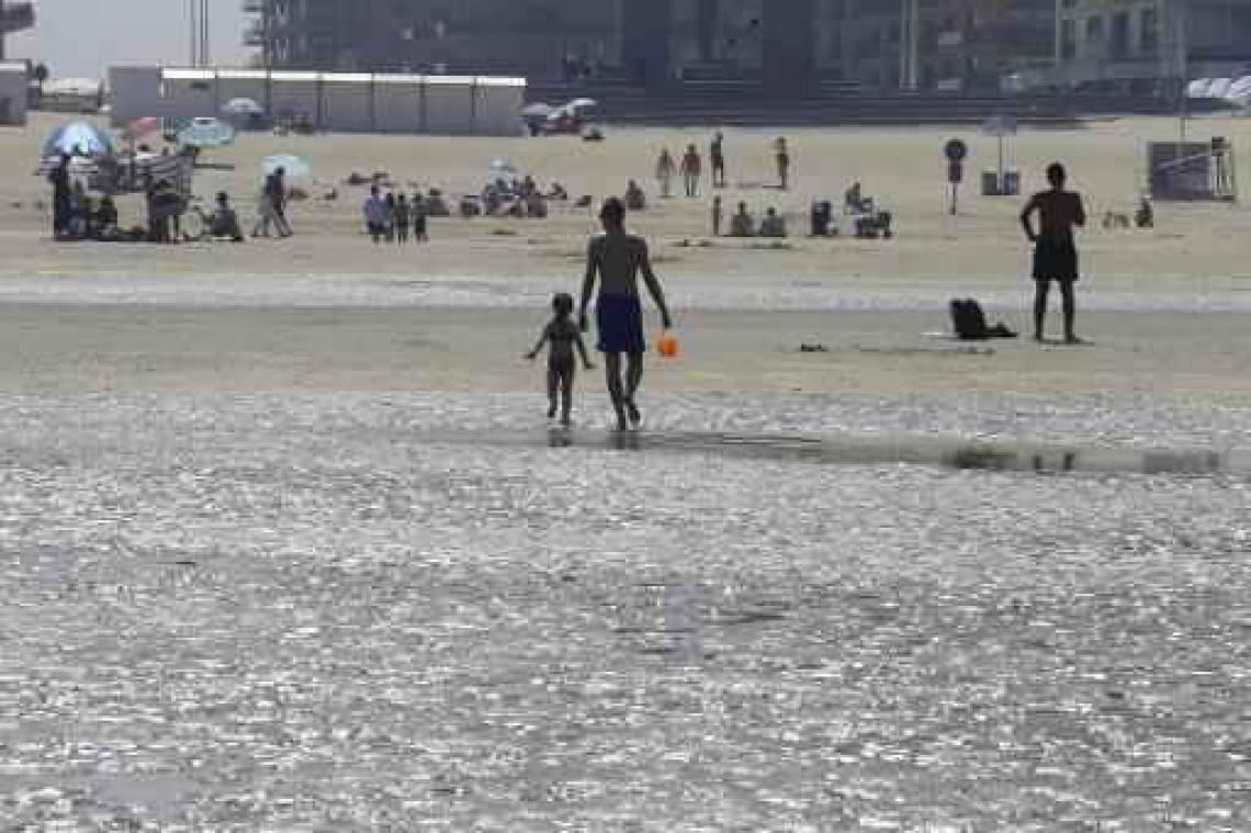 Staatssecretaris Philippe De Backer richt vizier op strandafval