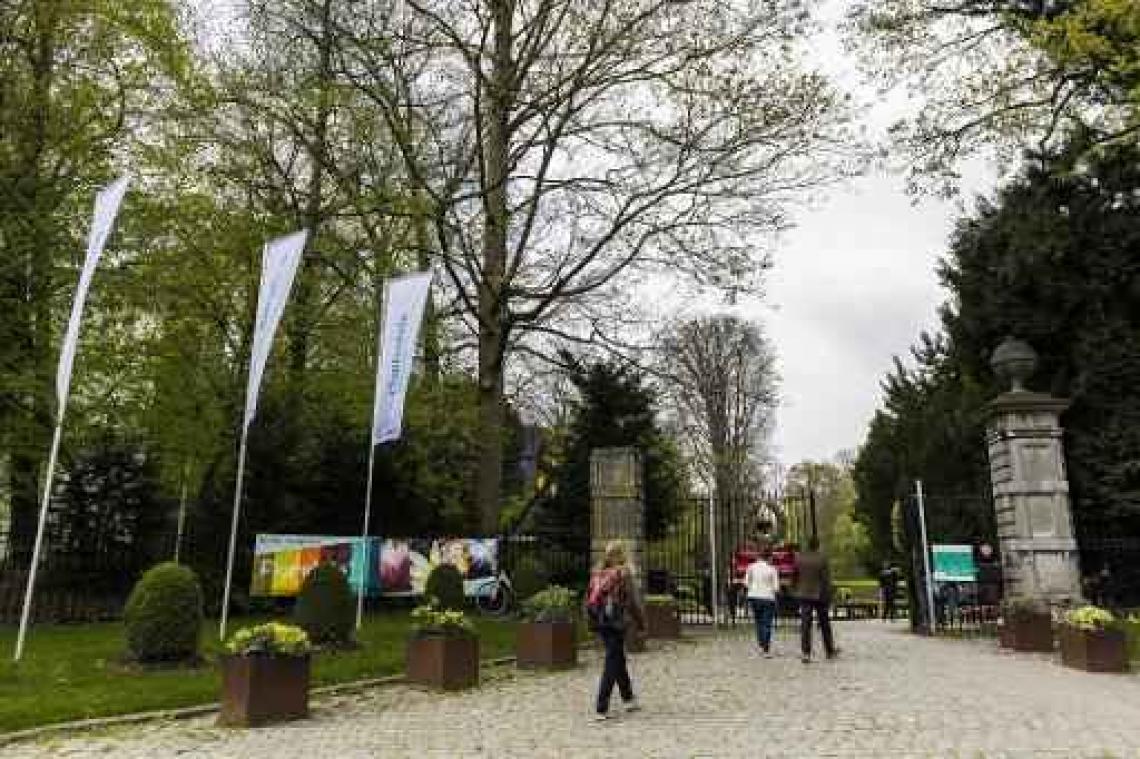 Bestuiving van bloeiende reuzenaronskelk in Plantentuin Meise gelukt